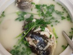 -天乐农家鱼头王(天目湖店)