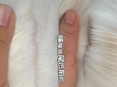 -转角宠物(转塘方家苑店)