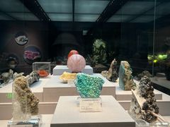 -湖南省地质博物馆