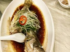 -渔意楼·驰名沙田乳鸽(五羊旗舰店)