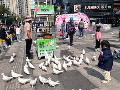 -江燕路万科里