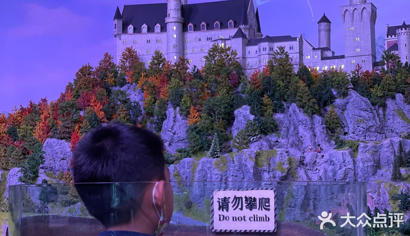 上海之巅的下午茶