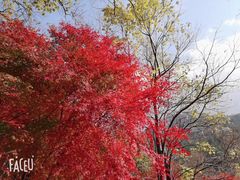-崂山巨峰游览区