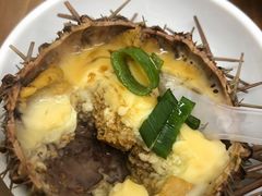 -海胆小馆(东北水饺·春柳店)