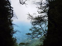 -塔云山