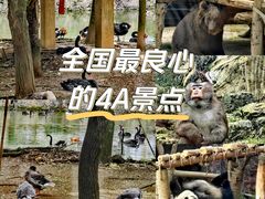 -黔灵山公园