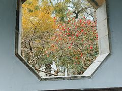 -惠山古镇·寄畅园