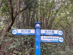 -羚羊峡古栈道森林公园