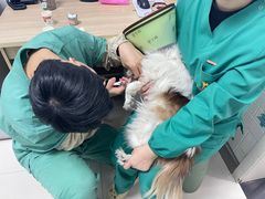 -派美特宠物医院·核磁CT·骨科肿瘤·疑难转诊(沈农禾丰店)