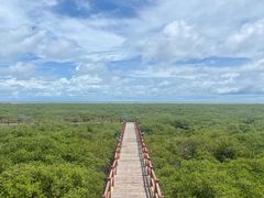 -北海金海湾红树林生态旅游区