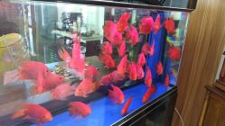 -苏州卫康美容医院