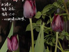 -本溪路花鸟市场(江浦路1709弄小区店)