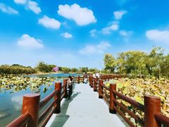 -长兴太湖图影湿地文化园