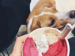 -Dip in Gelato(富民路店)