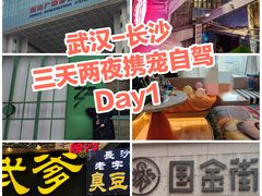 -圣爵菲斯大酒店(长沙世界之窗店)