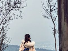 -香雪海