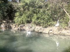 -兰亭风景区