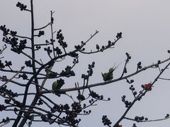 -广州雕塑公园