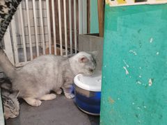 -大悦城(沈阳中街店)