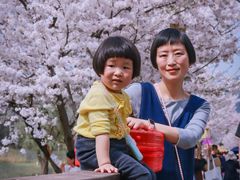 -长田漾湿地公园