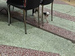 -黑白荤豆花(双凤路店)