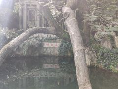 -蝴蝶泉公园