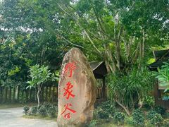 -野象谷景区
