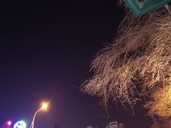 -大树餐厅(红旗街万达店)