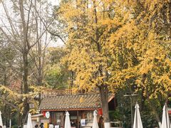 -成都市活水公园