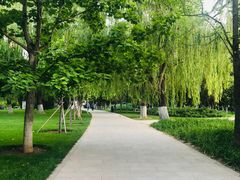 -中华世纪坛-停车场