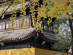 -西园戒幢律寺