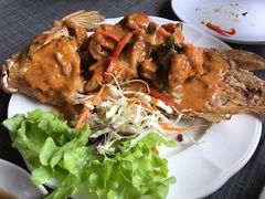 -Dash Teak House