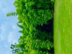 -眉山湿地公园(东坡区)