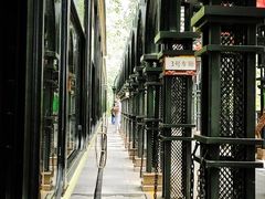 -合肥滨湖国家森林公园