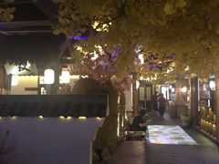 -淀里船宴(裕华东路店)