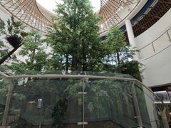 -同里国家湿地公园