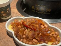 -蘑界·野生菌火锅(深业上城店)