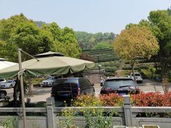 -十八棵（老龙井）御茶园(老龙井店)