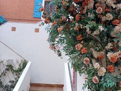 -新疆国际大巴扎