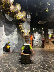 -Zoolung Zoolung动物主题公园(海信广场店)