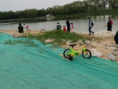 -大兴滨河森林公园