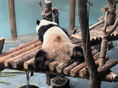 -青藏高原野生动物园