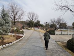 -羊山湖公园