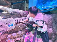 -沈阳海洋探索中心