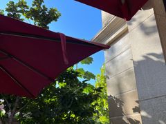 -子霖南山鲜虾面(南山总店)