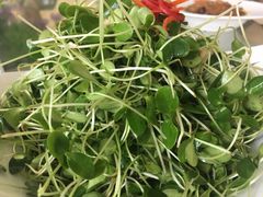 -红栌温泉山庄生态美食餐厅