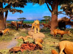 -国家自然博物馆