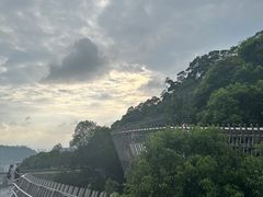 -福道