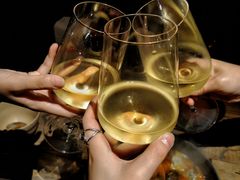 -毛辣果·酸(OHA复兴西路店)