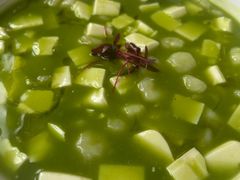 -長泰華府(长泰广场店)